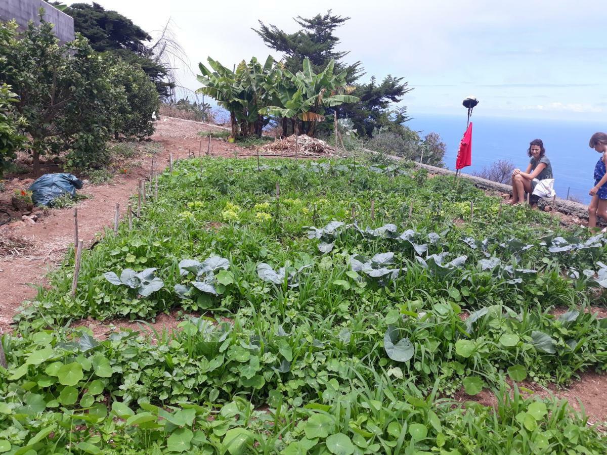 Casas En Finca Ecologica La Espiral, Naturaleza, Calma Y Vistas Al Mar, Icod el Alto Luaran gambar